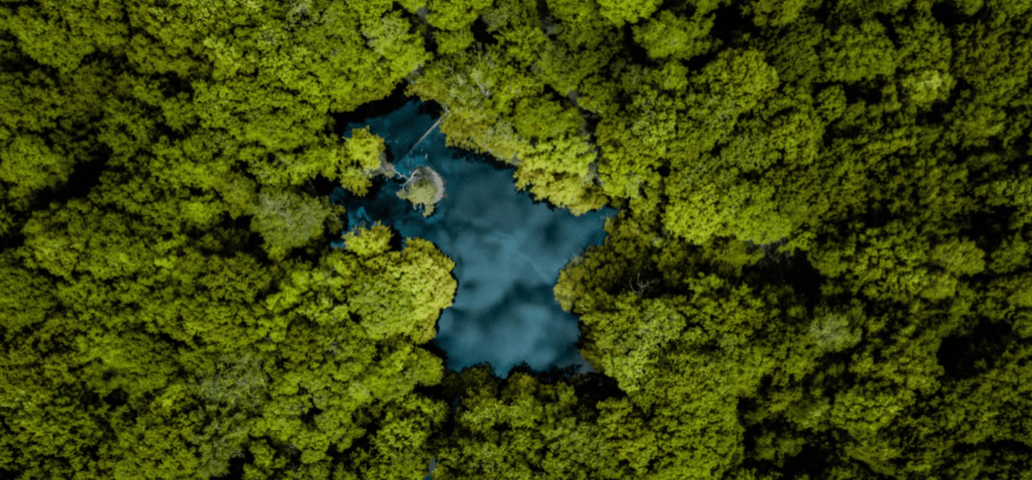 Designed for sustainability