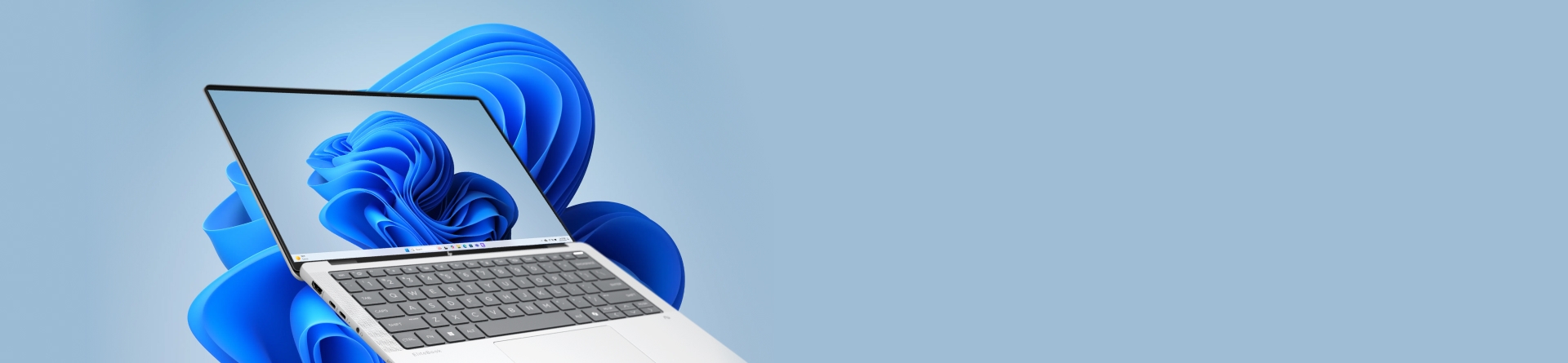 November Business Boost